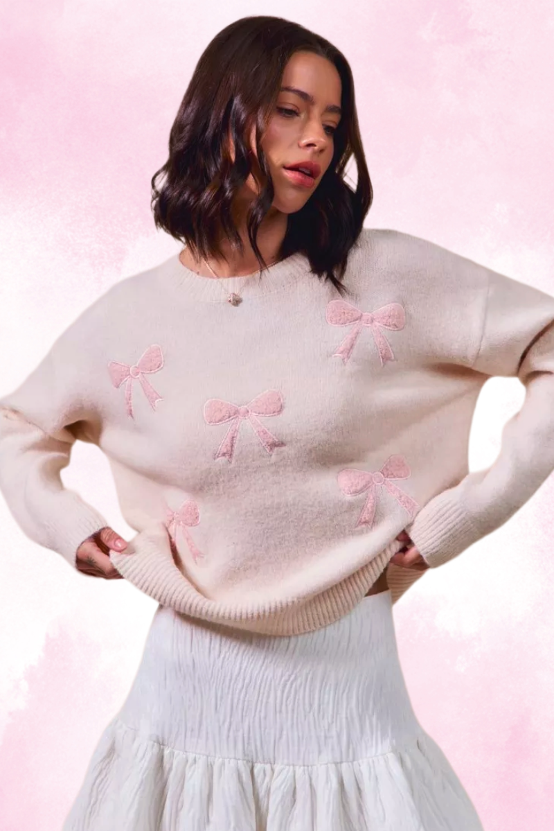 Embroidered Ribbon Round Neck Sweater