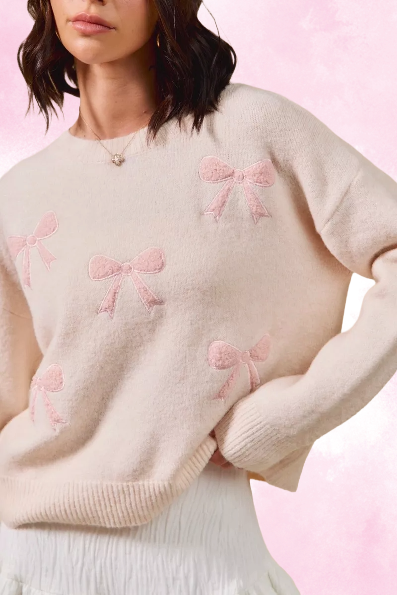 Embroidered Ribbon Round Neck Sweater